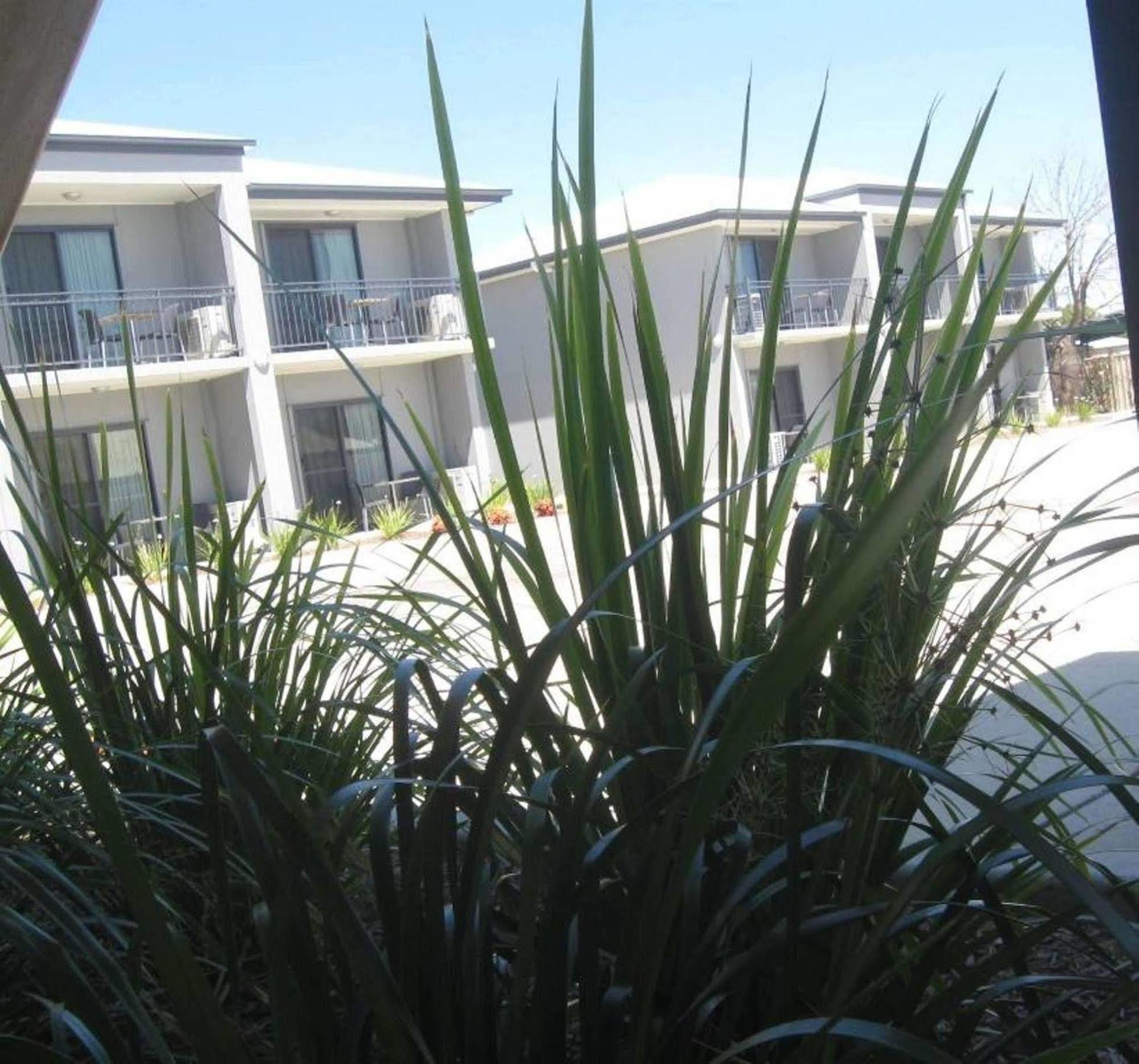 Royal Motel Miles Exterior photo